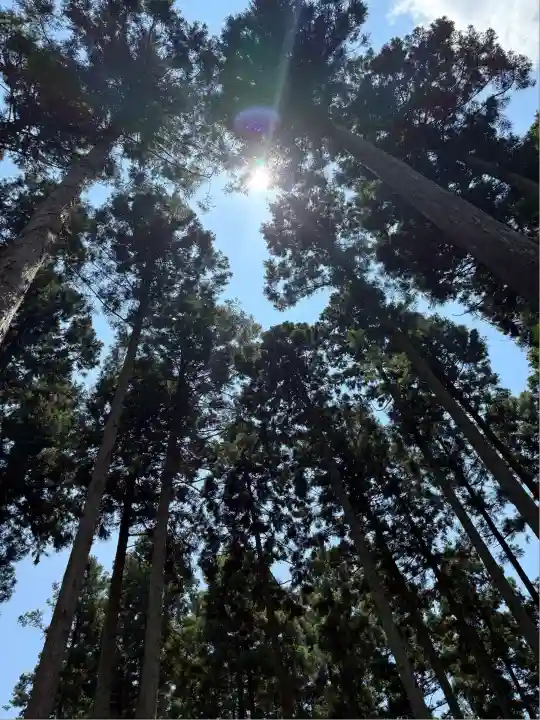 市杵島神社(高萩八幡宮境内社)(茨城県)