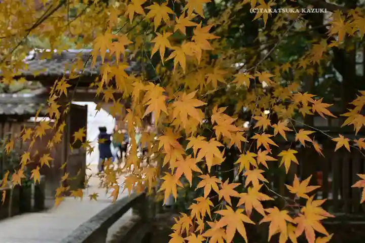 宇治上神社(京都府)