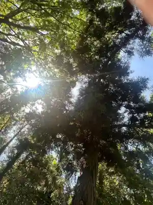 女化神社(茨城県)