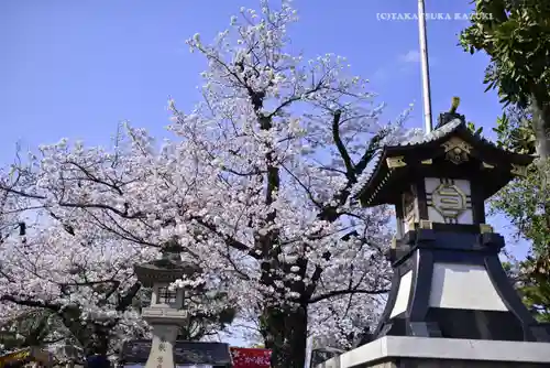 三嶋大社(静岡県)