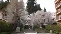 大崎八幡宮の自然