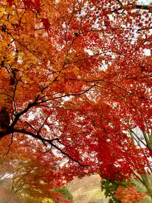 川見薬師寺(愛知県)