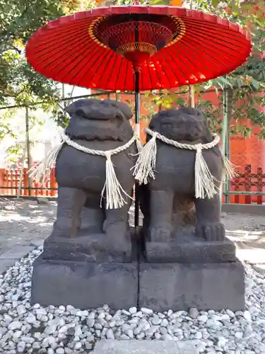 浅草神社の狛犬