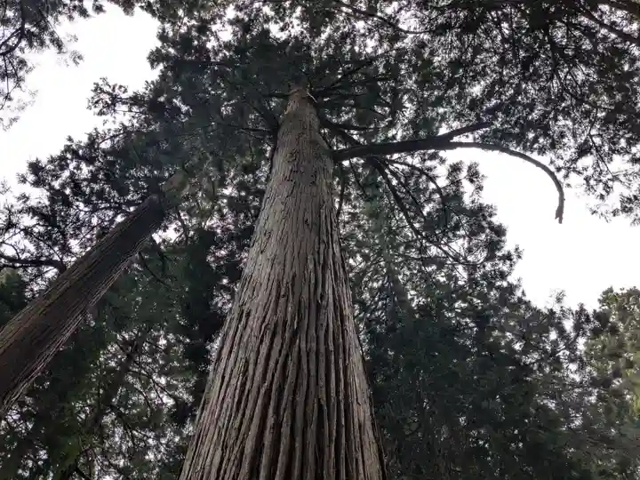 大皇器地祖神社(滋賀県)
