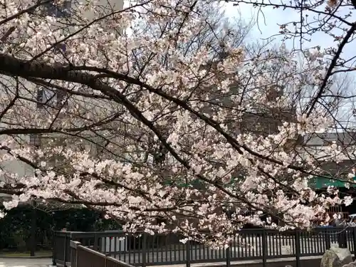 於咲稲荷神社・波除（浪除）稲荷神社の自然