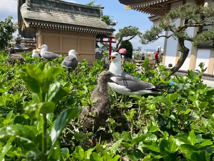 蕪嶋神社(青森県)