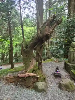 幣立神宮(熊本県)
