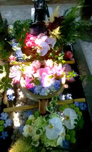 札幌護國神社の手水