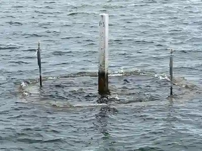 満月寺（浮御堂）(滋賀県)