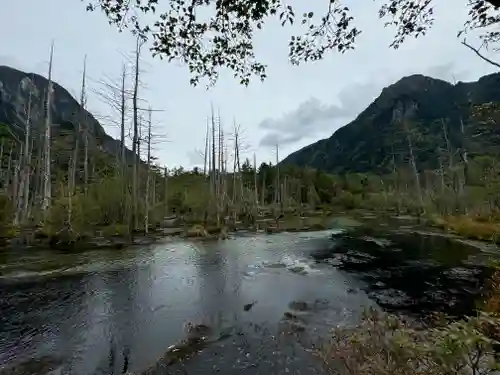穂高神社奥宮の自然