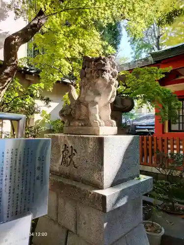 秋葉神社の狛犬