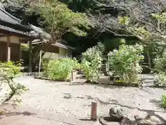 玄賓庵の庭園