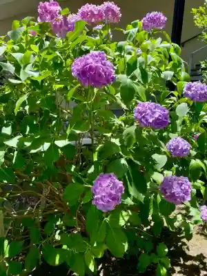 久本神社(神奈川県)
