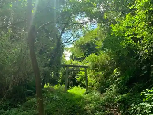 妙見神社の鳥居