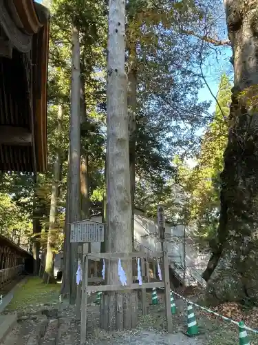 諏訪大社(長野県)