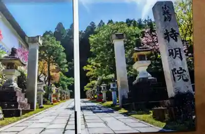 持明院(和歌山県)