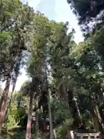 大宮温泉神社(栃木県)