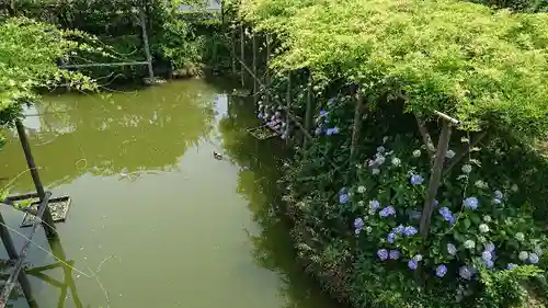 亀戸天神社の庭園