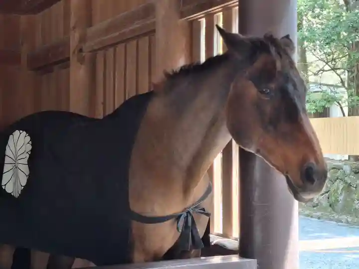 伊勢神宮内宮(皇大神宮)の{uncategorized: "未分類", other: "その他", undefined: "問題あり", building: "その他建物", grave: "お墓", sacred_gate: "鳥居", guardian: "狛犬", statue: "像", buddha: "仏像", history: "歴史", nature: "自然", garden: "庭園", animal: "動物", pagoda: "塔", temizu: "手水舎", mountain_gate: "山門・神門", sanctuary: "本殿・本堂", subordinate: "末社・摂社", art: "芸術", scenery: "景色", jizo: "地蔵", ema: "絵馬", goshuin: "御朱印", omikuji: "おみくじ", items: "授与品その他", amulet: "お守り", goshuincho: "御朱印帳", eats: "食事", festival: "お祭り", votive_dance: "神楽", shichigosan: "七五三参", wedding: "結婚式", experience: "体験その他", initially: "初詣", around: "周辺", anti_infection: "感染症対策"}