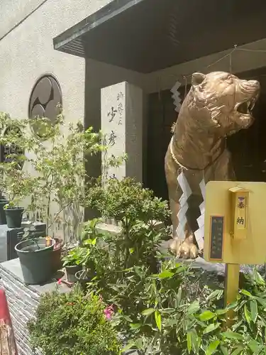 少彦名神社の狛犬