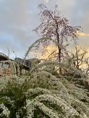 祇園白川辨戝天社(京都府)
