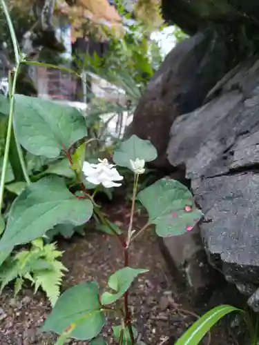 即清寺の庭園