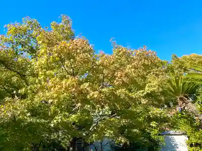 伊勢の国 四天王寺(三重県)