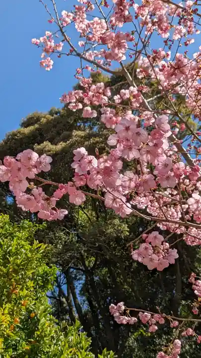 熊野若王子神社の自然