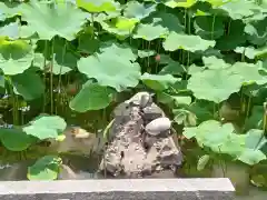 東寺（教王護国寺）(京都府)