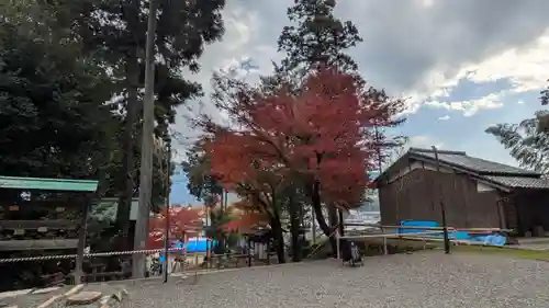 八幡宮（吉利倶八幡宮・勧修寺八幡宮）(京都府)