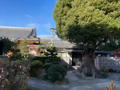 福田寺(京都府)