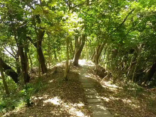 浄光明寺の自然