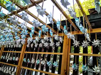 川越氷川神社(埼玉県)