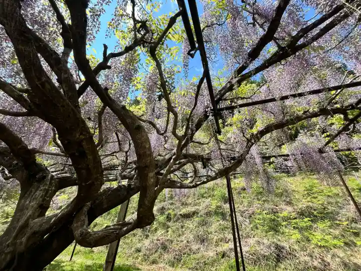 天台宗 五大山 白毫寺(兵庫県)