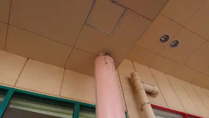 尾張大國霊神社(国府宮)の周辺