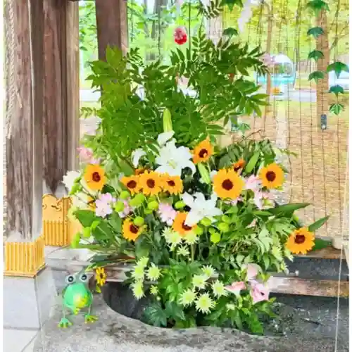 彌彦神社　(伊夜日子神社)(北海道)