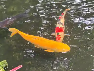 伊勢神宮内宮（皇大神宮）(三重県)