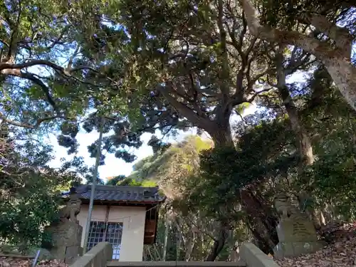 浅間神社のその他建物
