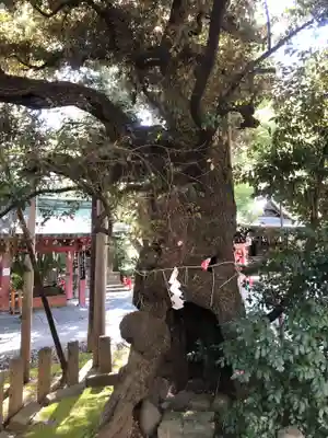 金王八幡宮(東京都)