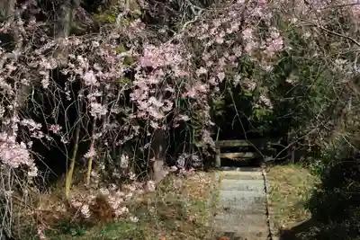 熊野神社の自然