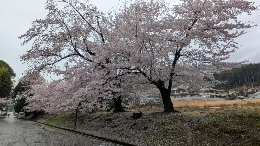 長尾天満宮の御朱印・アクセス情報（京都府醍醐駅）|ホトカミ