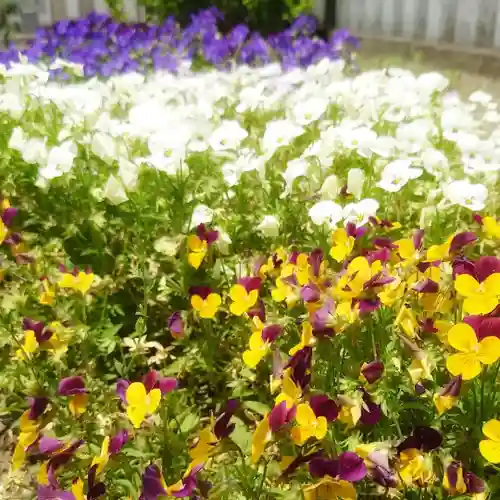 秋葉神社の自然
