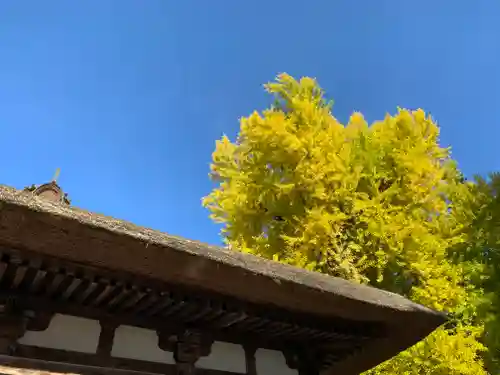 新宮熊野神社の自然