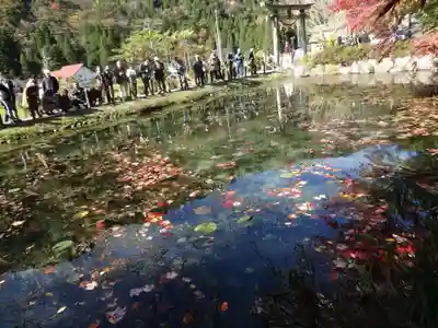 根道神社の庭園