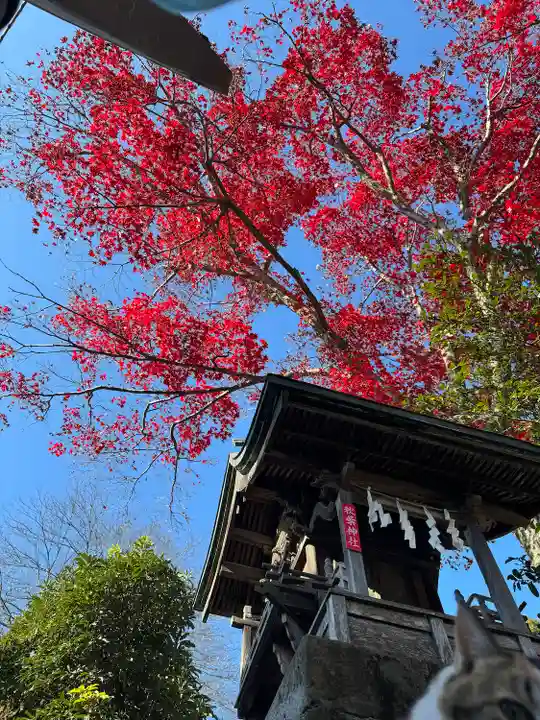 賀茂別雷神社(栃木県)