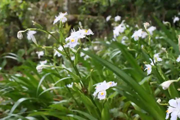 東福禅寺(東福寺)(京都府)