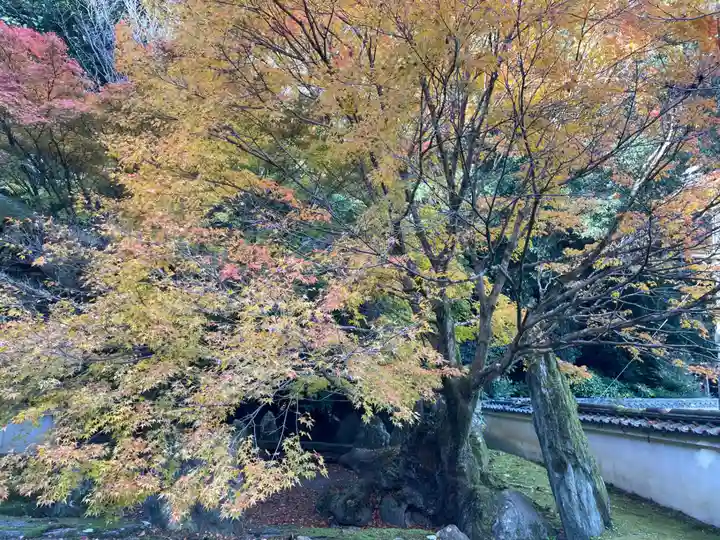善能寺(京都府)