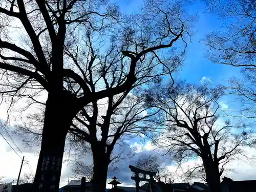 白鳥神社(長野県)