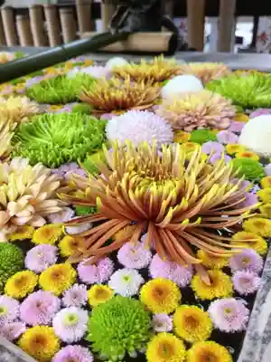 高円寺氷川神社(東京都)