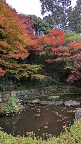 善峯寺(京都府)